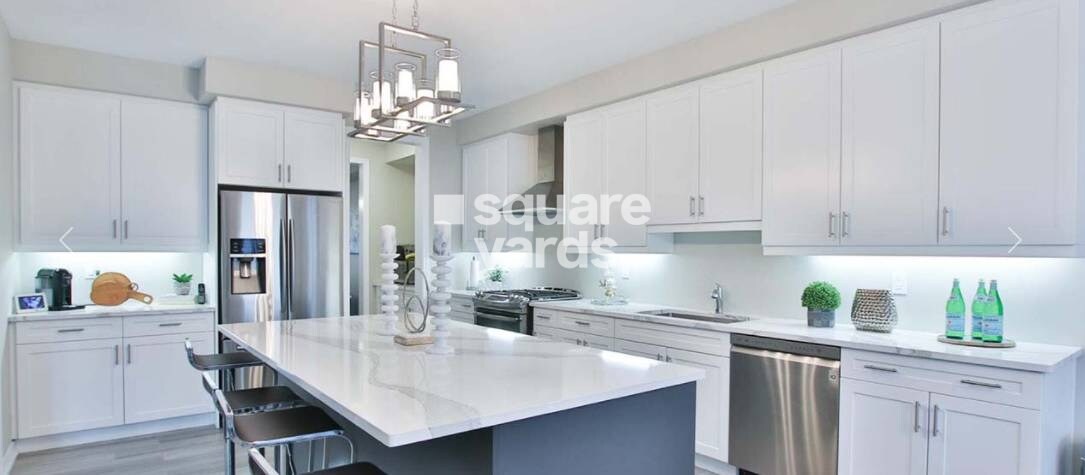 Rohinton Alankar VYBE