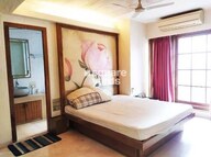 Rose Queen Apartment Interiors