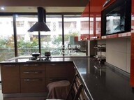 Rose Queen Apartment Interiors