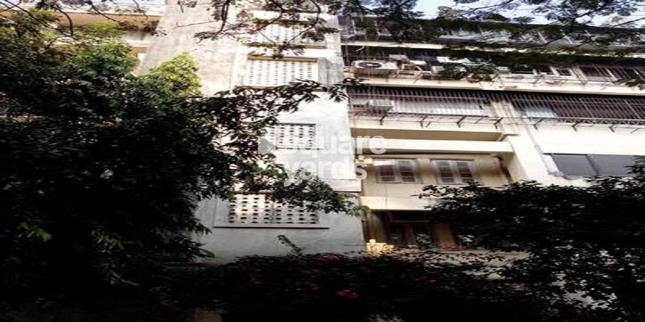 Roshan Mansion Cover Image