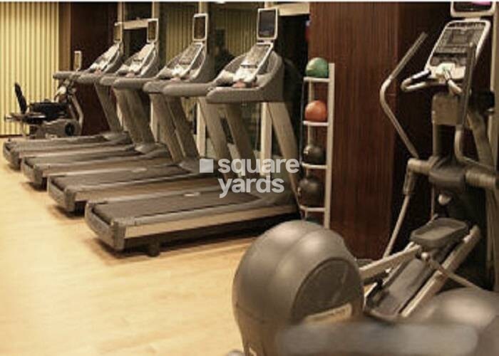 Rubberwala Belle Harbour