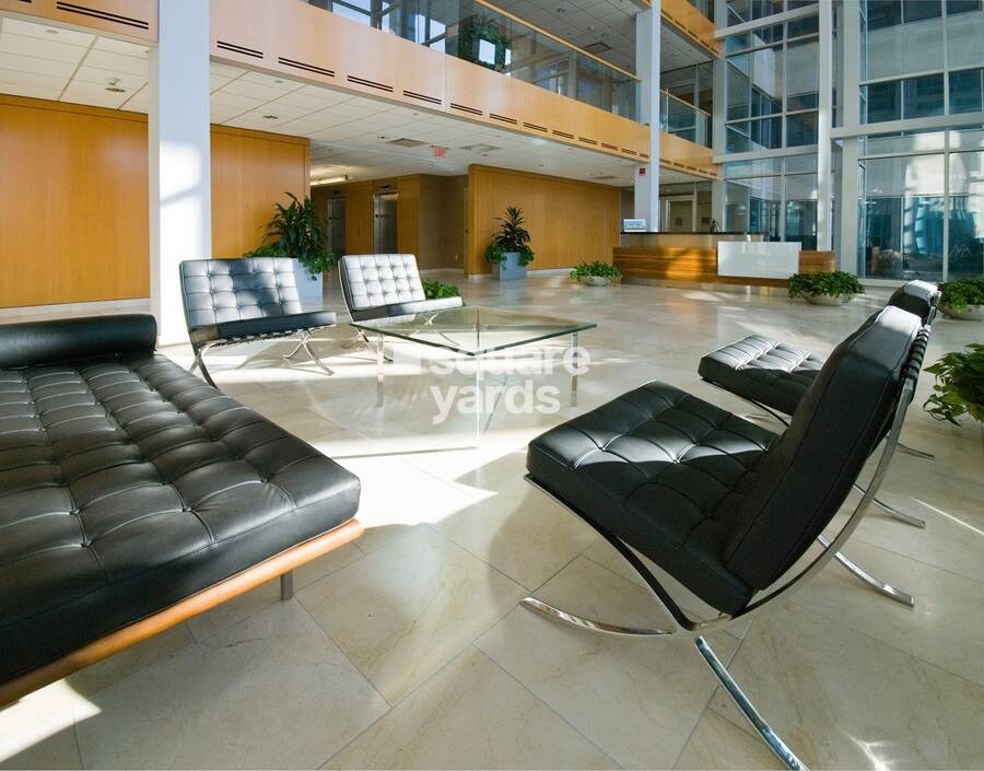 Rubberwala Signature