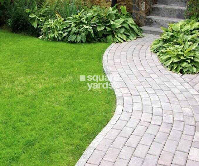 Rubberwala Signature