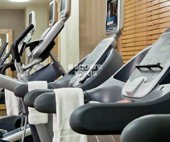 Rubberwala Signature