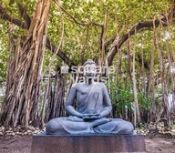 Runwal Bliss Wing D Amenities-Features