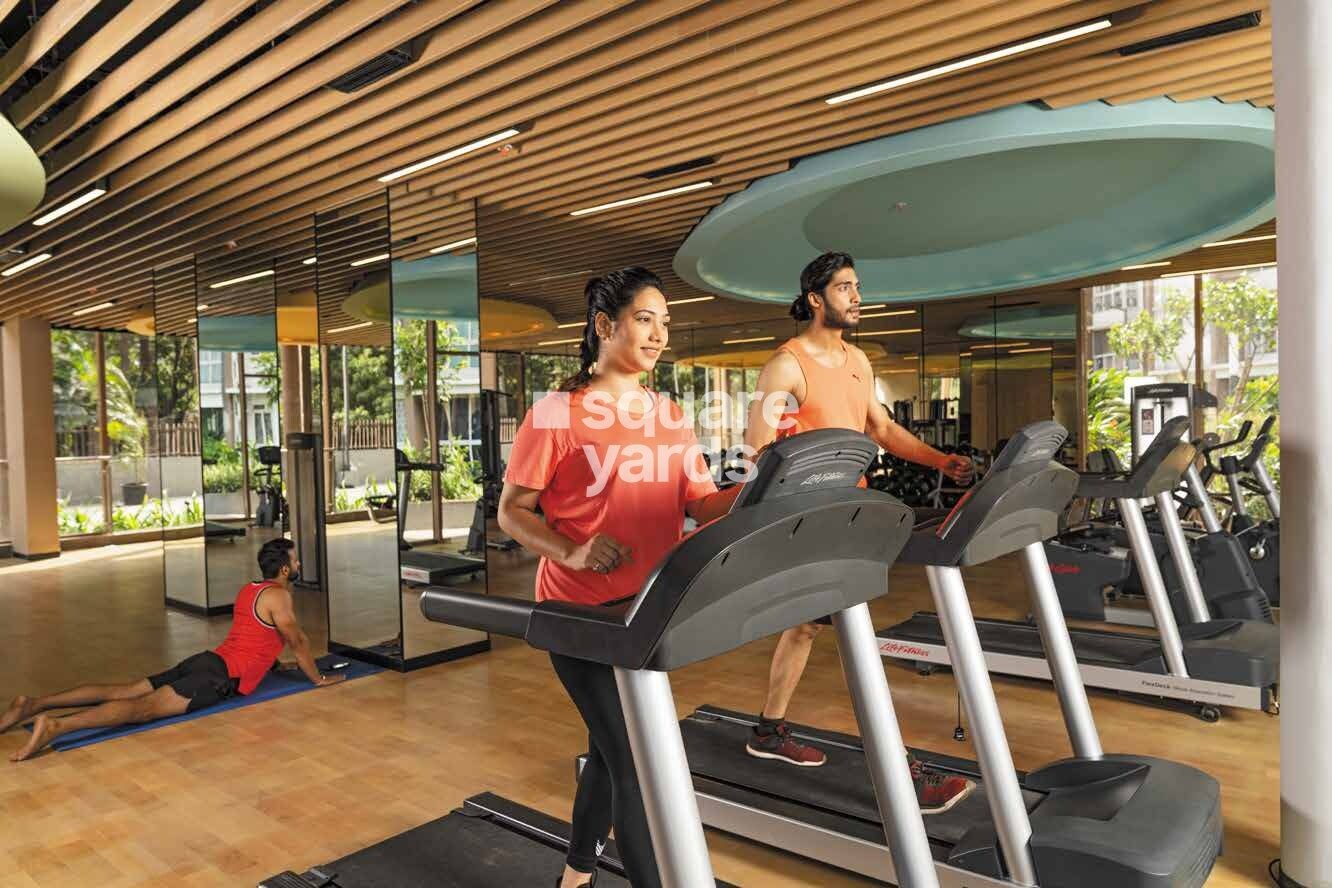 Runwal Forest Orchid Gymnasium Image