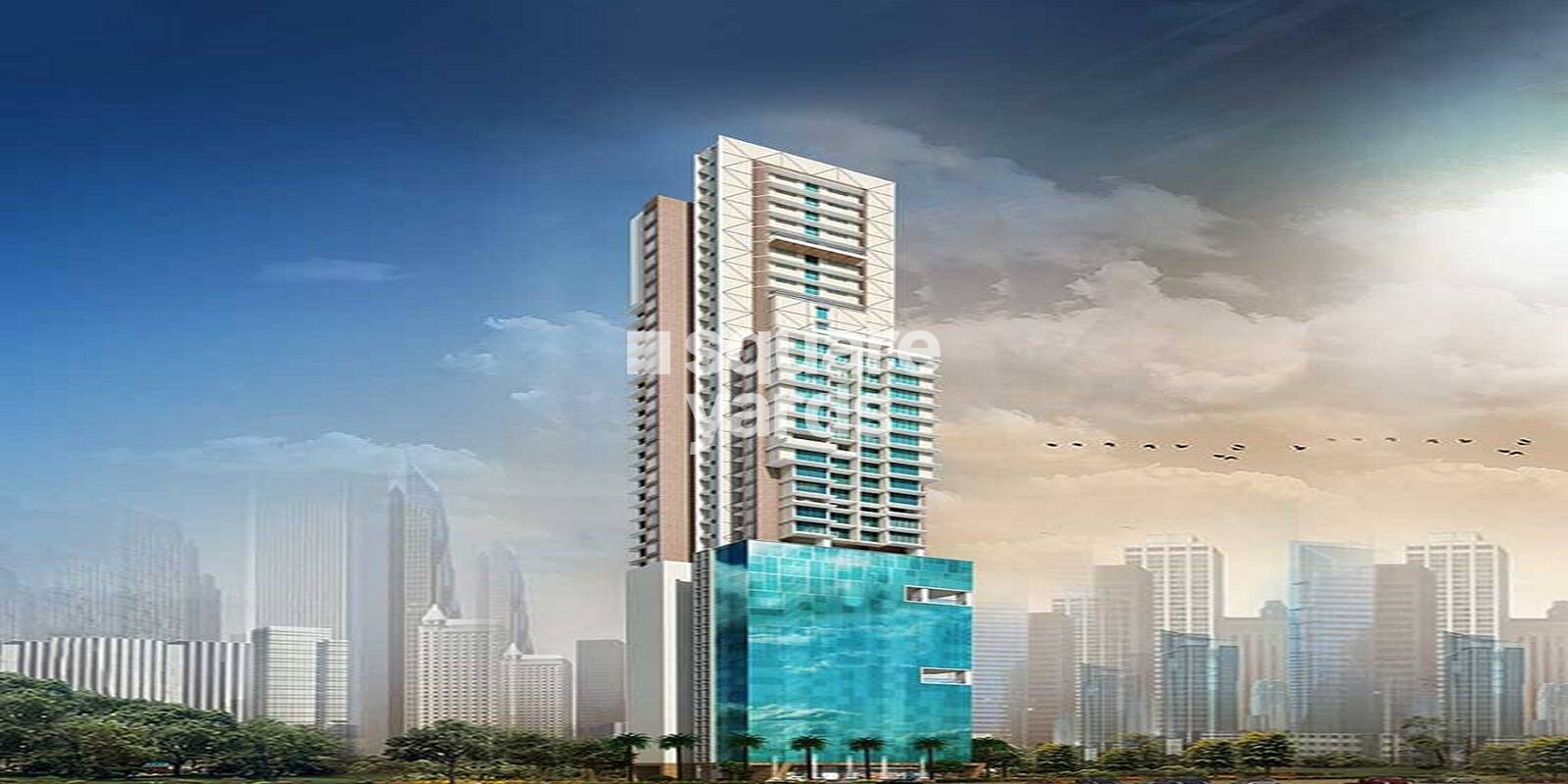 Ruparel Iris Featured Image