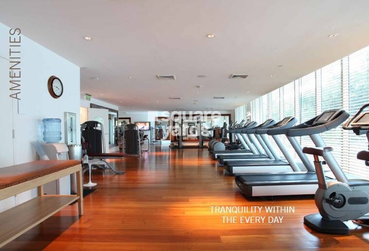 Rushabh Meeras Crown