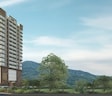 S And T Serenity Heights