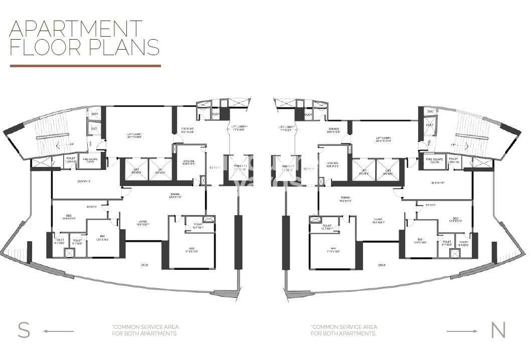 S D The Imperial Edge Floor Plans