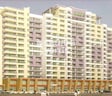 Sachdev Complex