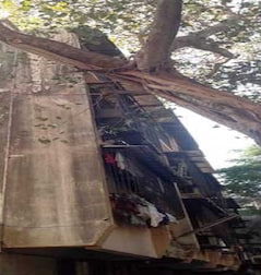 Safalya Apartment Safalya Apartment