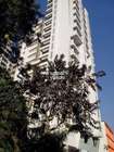 Saffron Apartments Chembur Tower View