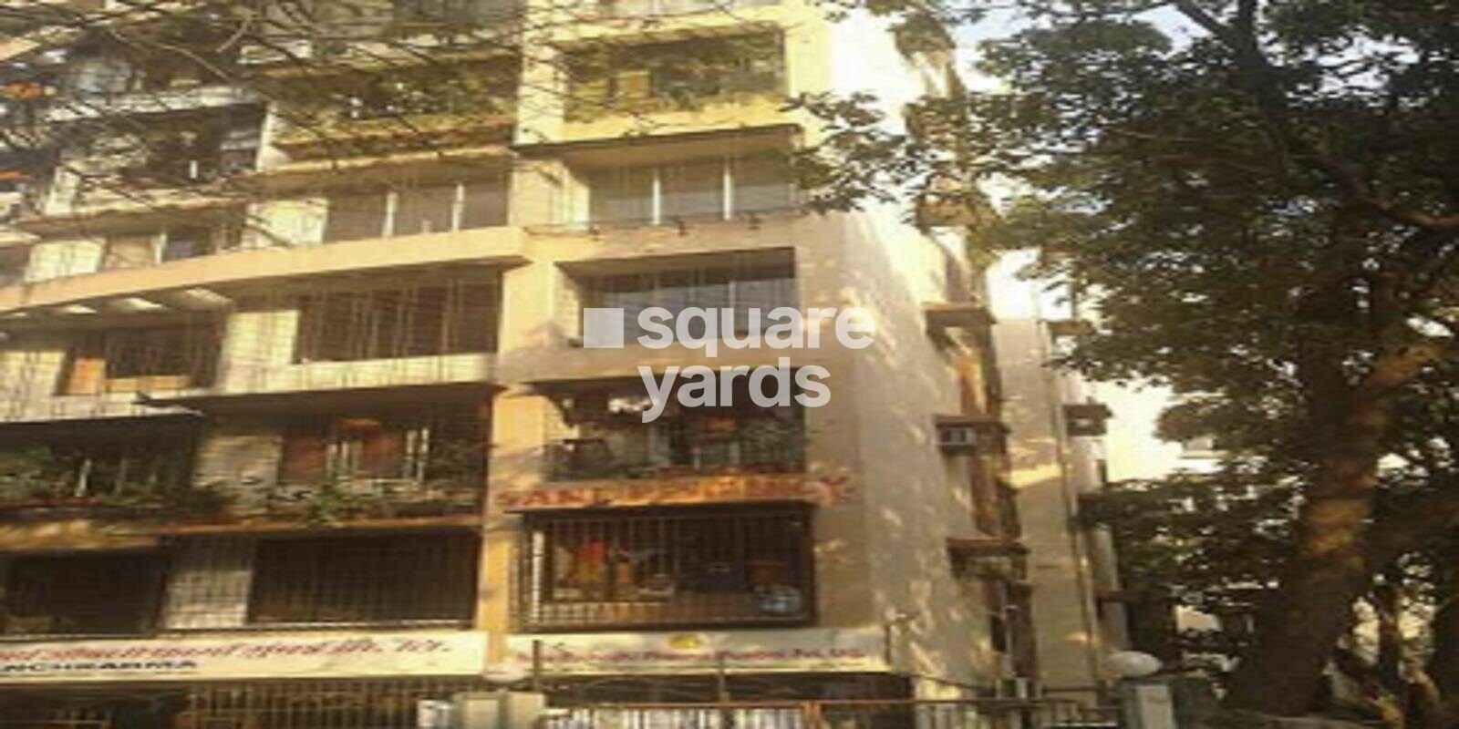 Sane Residency