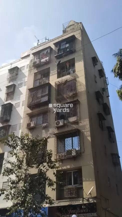 Sashank Apartment Tower View