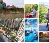 SD Alpine Amenities-Features