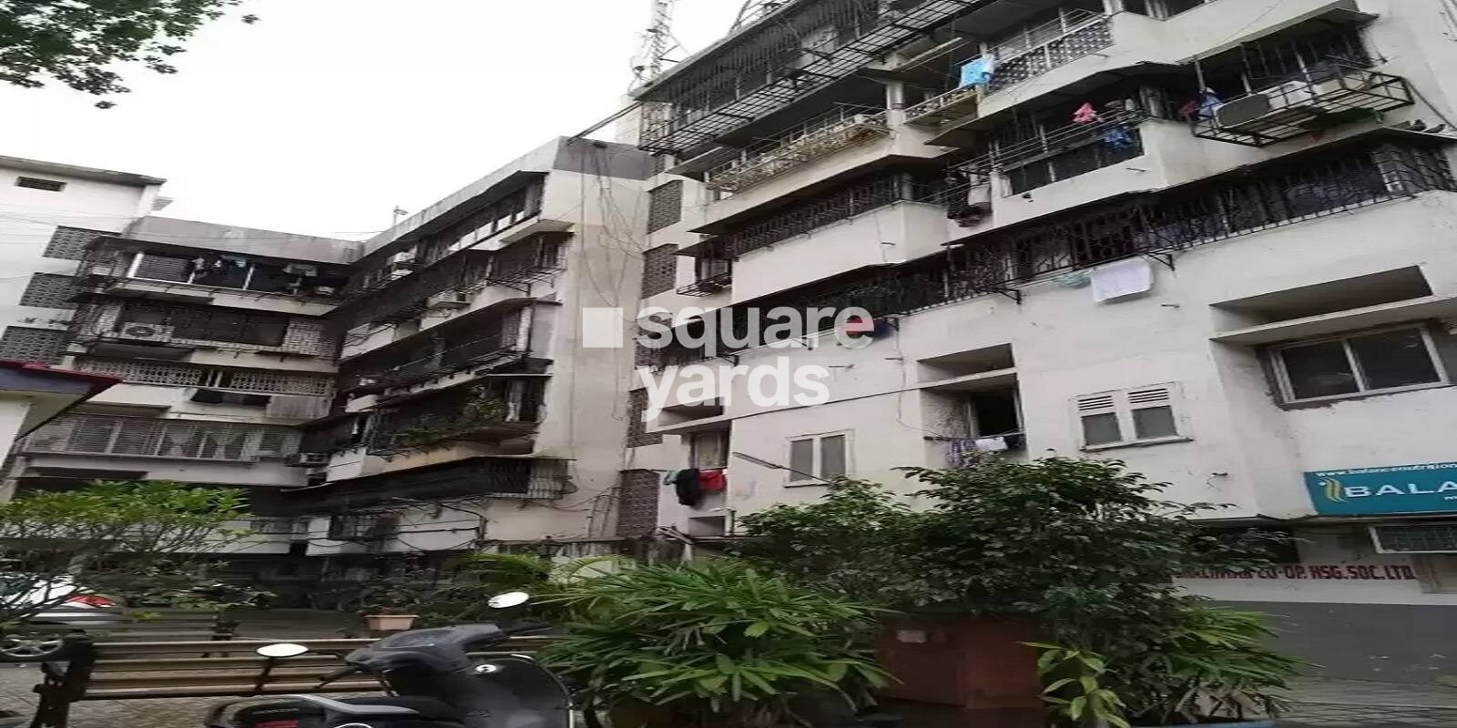 Shalimar CHS Santacruz