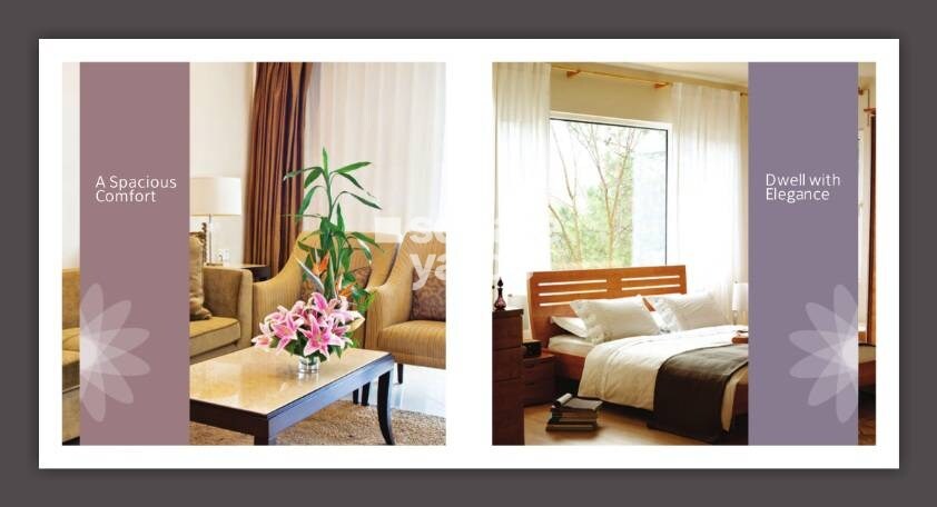 Shubham Dynamic Shubham Lily White Apartment Interiors