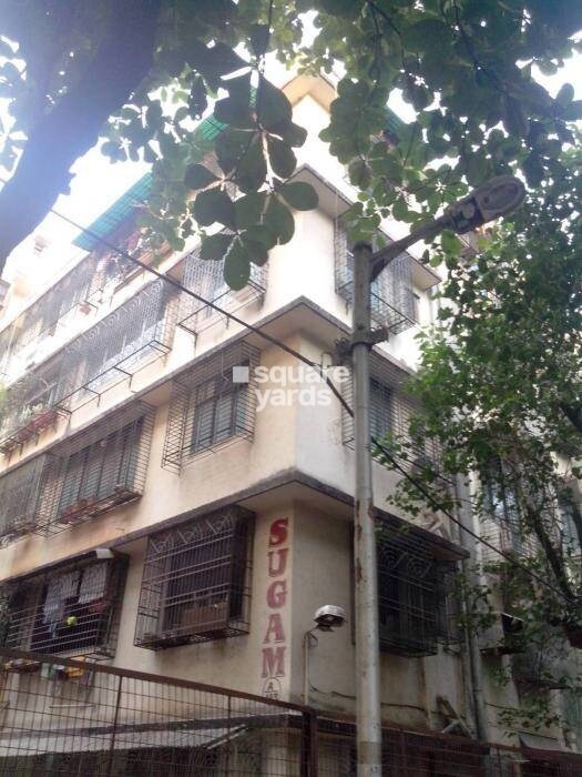 Shugam Apartment Tower View