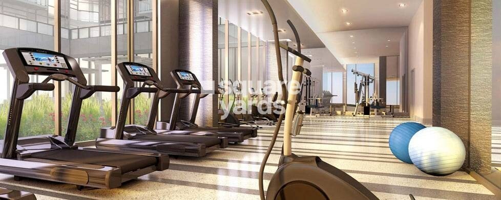 Silver Solitaire Gymnasium Image