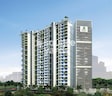 SMGK Associates Woods Platina