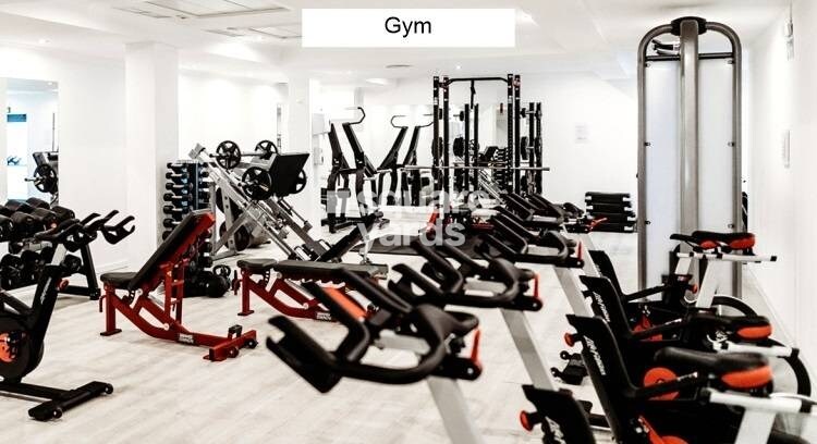 Southfield Gravity Gymnasium Image