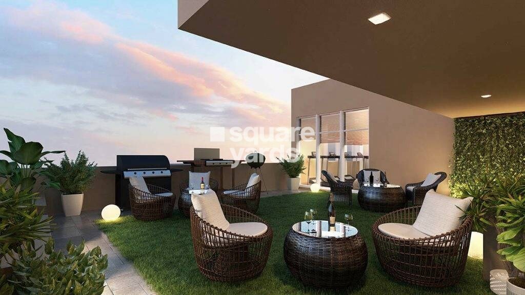 Spenta Ornata Sapphire