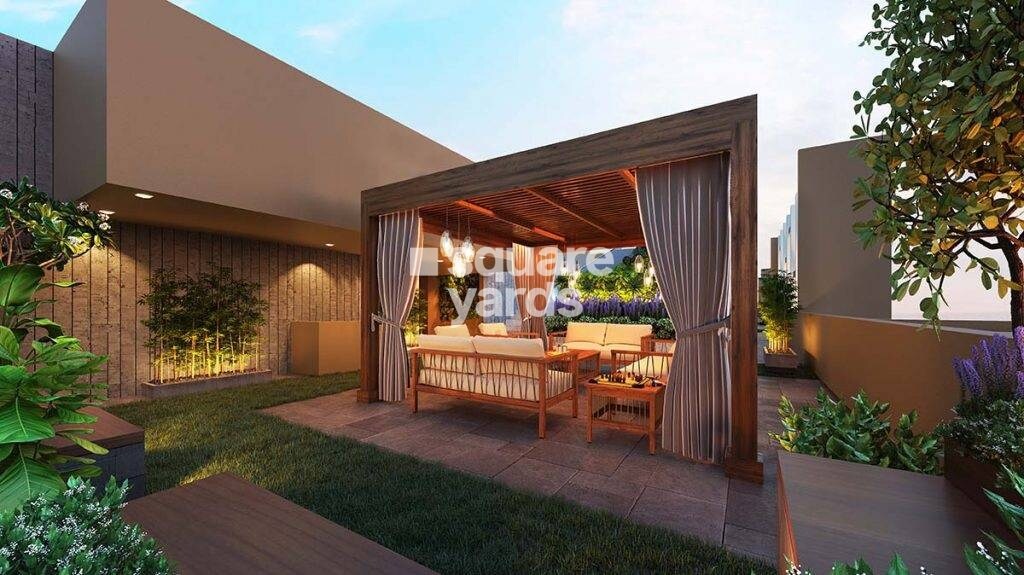 Spenta Ornata Sapphire