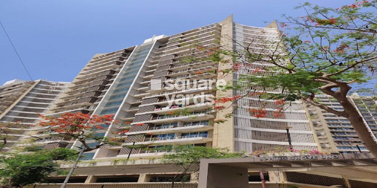 Spring Grove Uno Society Cover Image