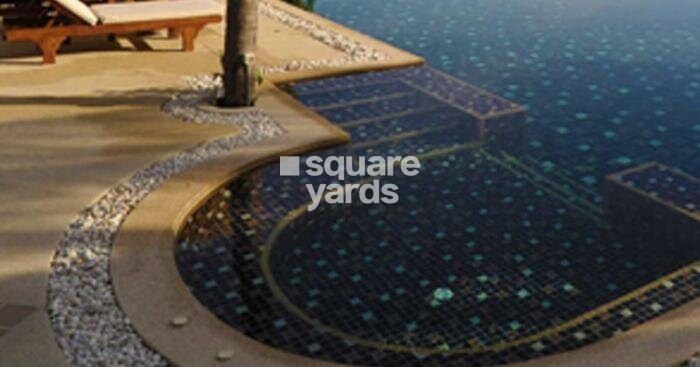 Supreme Stellar Amenities-Features