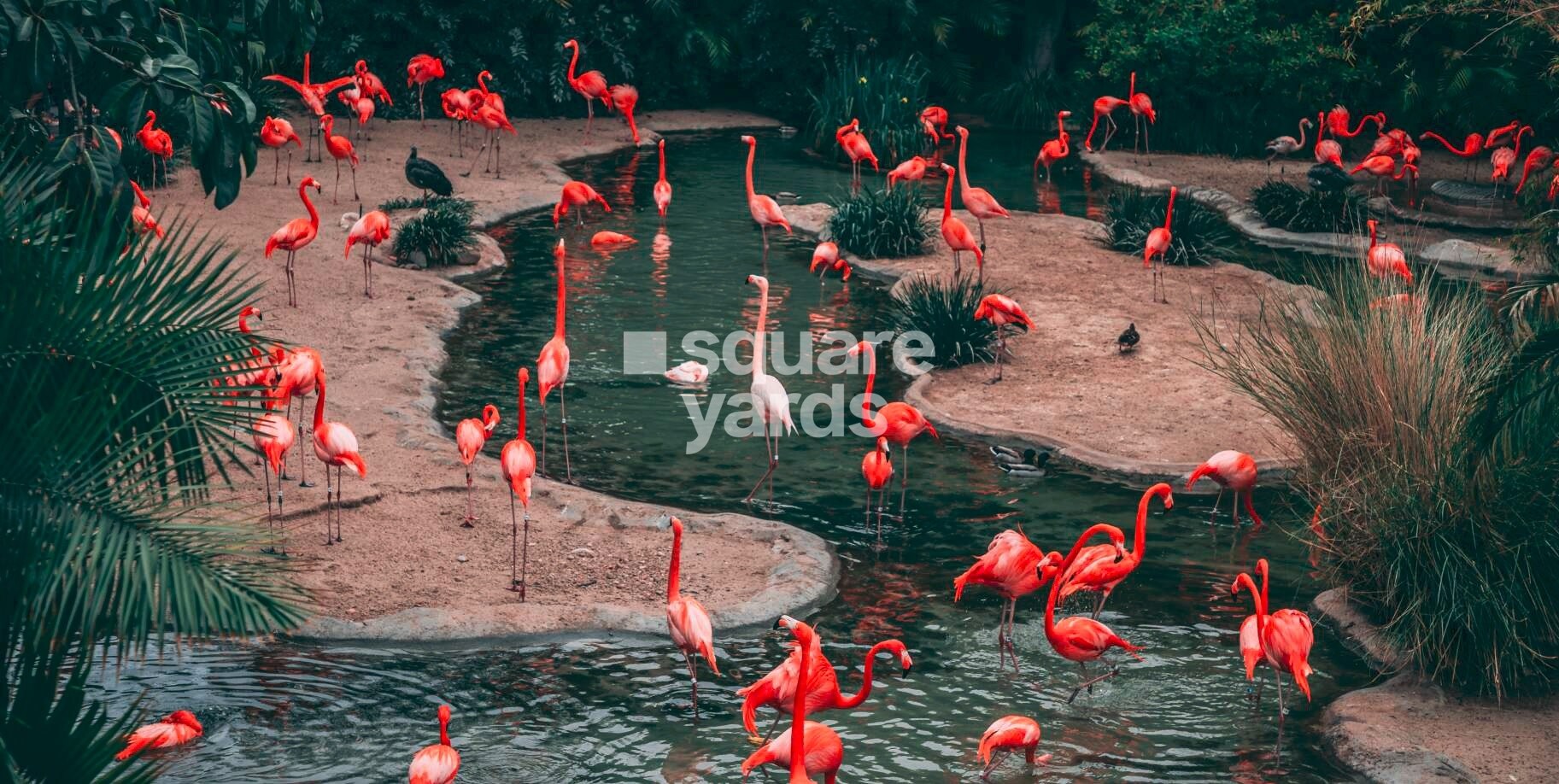 Swastik Divine Mulund Amenities-Features 1