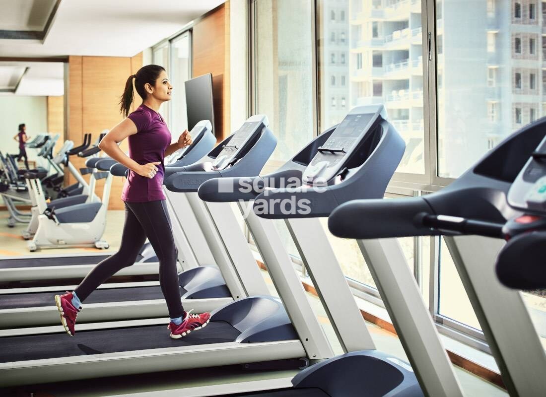 The Wadhwa Address Panorama Amenities-Features 3