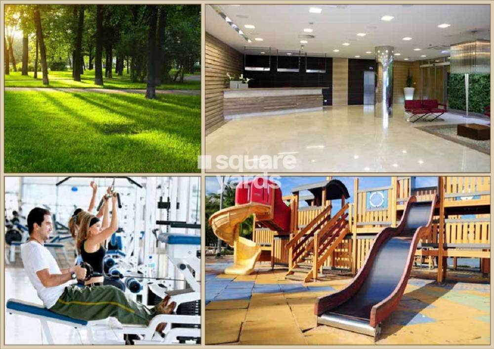 the wadhwa madhupuri  project amenities features1