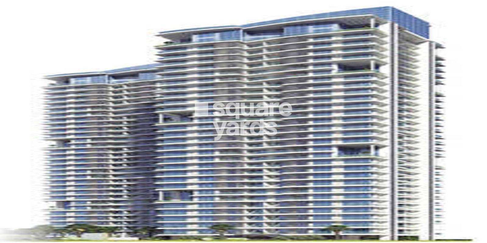 The Wadhwa Viceroy Park Cover Image