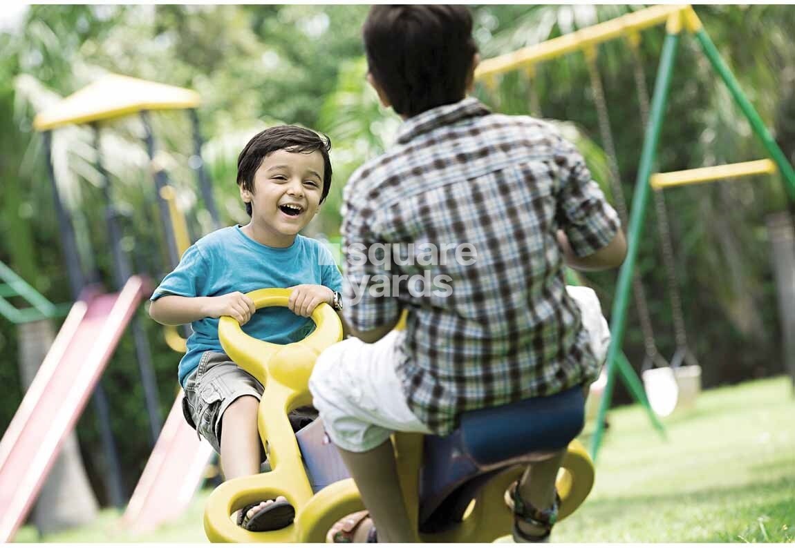 Tridhatu Shobha Aayu