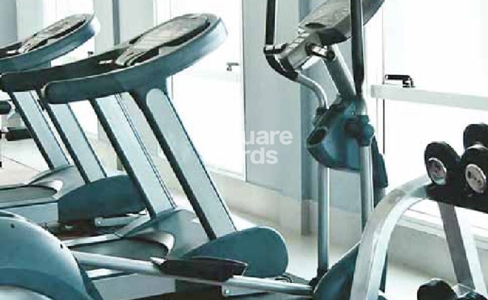 Tridhatu Shobha Aayu