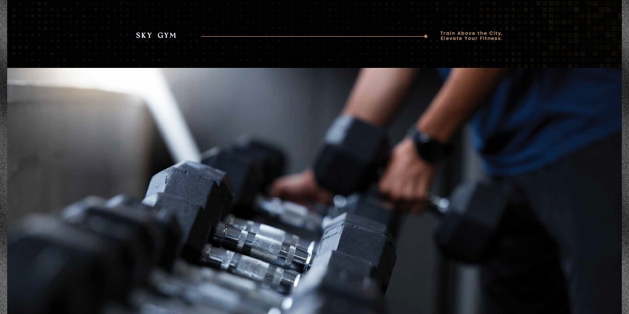 Trishika Skye 175 Gymnasium Image