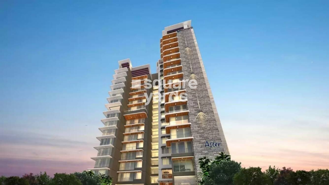 Triveni Aster Tower View