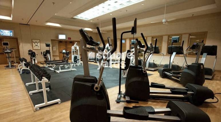 Unicore Aura Gymnasium Image