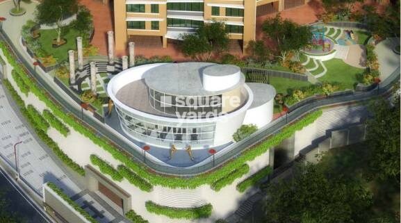 Wisemen Fressia Rainbello