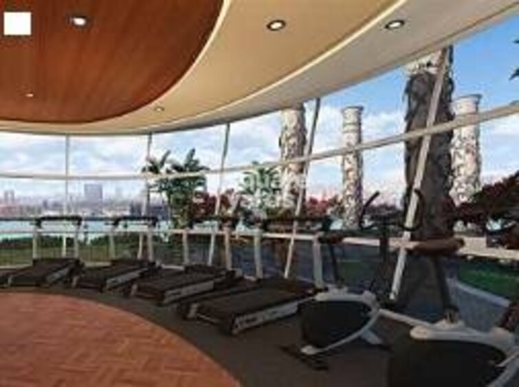 Wisemen Fressia Rainbello Gymnasium Image