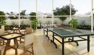 Wisemen Fressia Rainbello Sports facilities Image