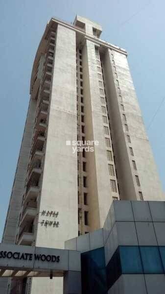 Woods Maple Tower Tower View