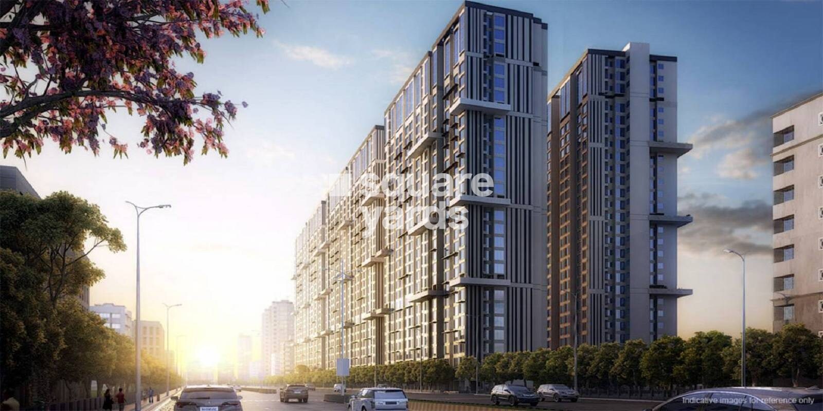 Xrbia Chembur Central Orchid B