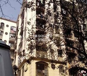 Adarsh Classic A