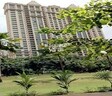 Adonia Apartments