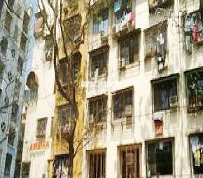 Ambika Plaza