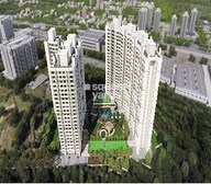 Arkade Earth Bluebell Video