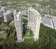 Arkade Earth Hazel Video