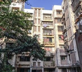 Atul Wilmer Apartment